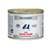 Royal Canin Recovery