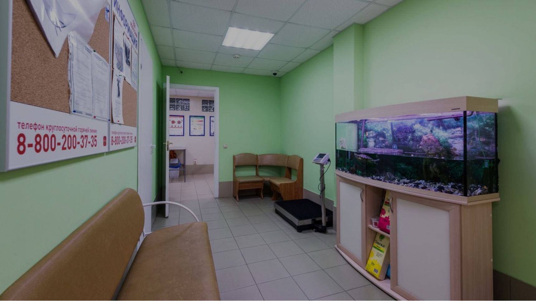 Панорама ветеринарной клиники «Челси»
